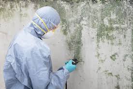 Best Mold Prevention Services  in Legend Lake, WI